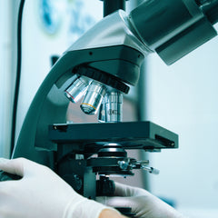 Collection image for: Microscope Lamps Australia – Precision Lighting for Laboratories & Research