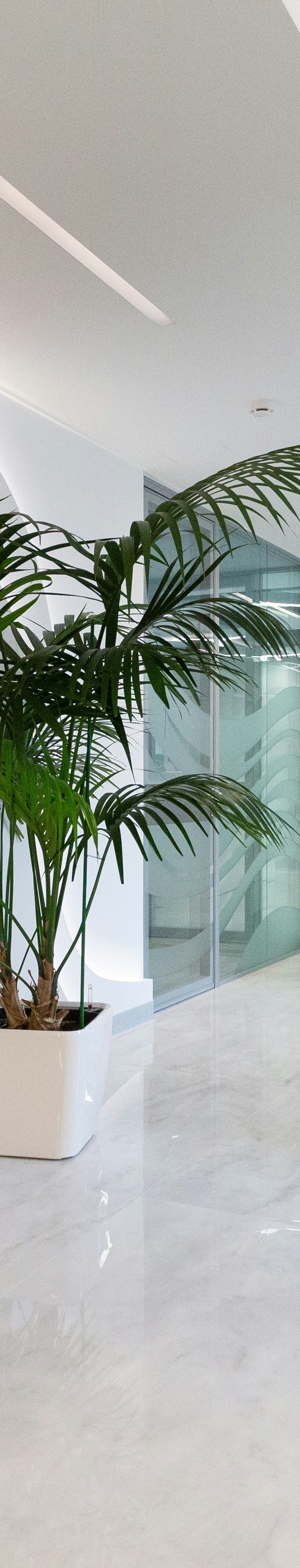 <h1>Frequently asked questions</h1>