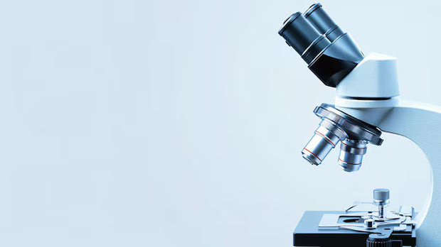 <h1>Microscope Lamps</h1>