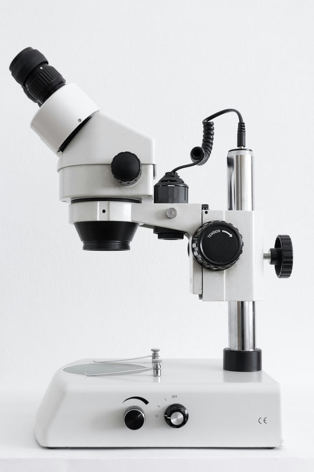 <h3>Microscope Lamps</h3>